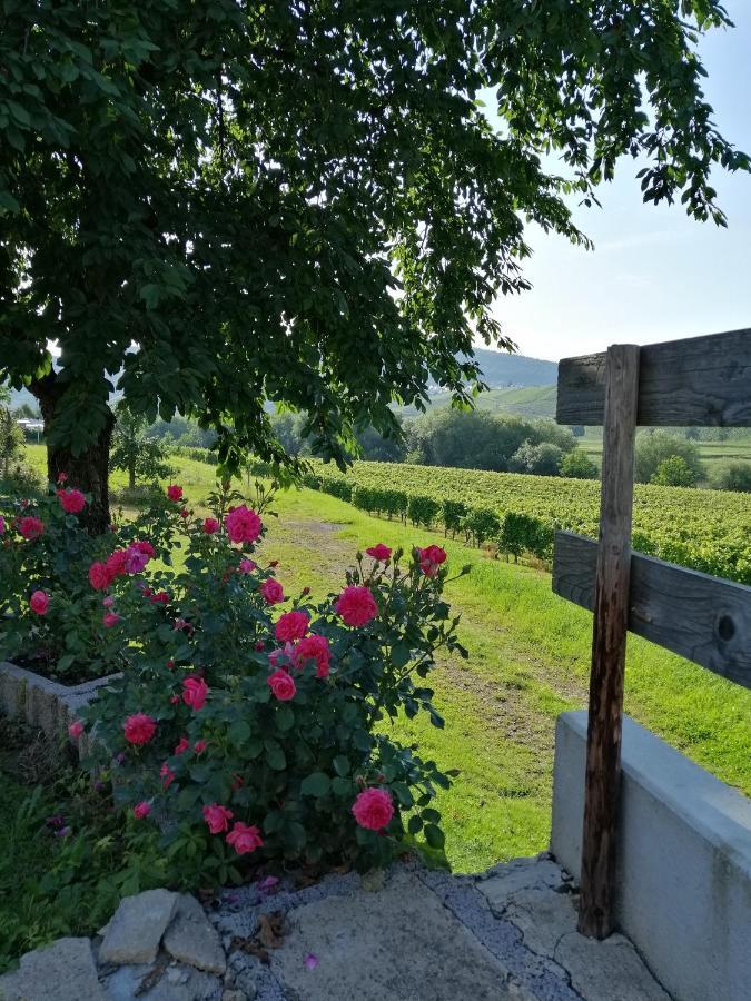 Weingut Licht-Stadtfeld เบราเนอแบร์ก ภายนอก รูปภาพ