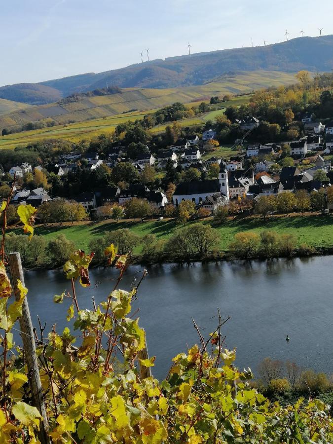 Weingut Licht-Stadtfeld เบราเนอแบร์ก ภายนอก รูปภาพ